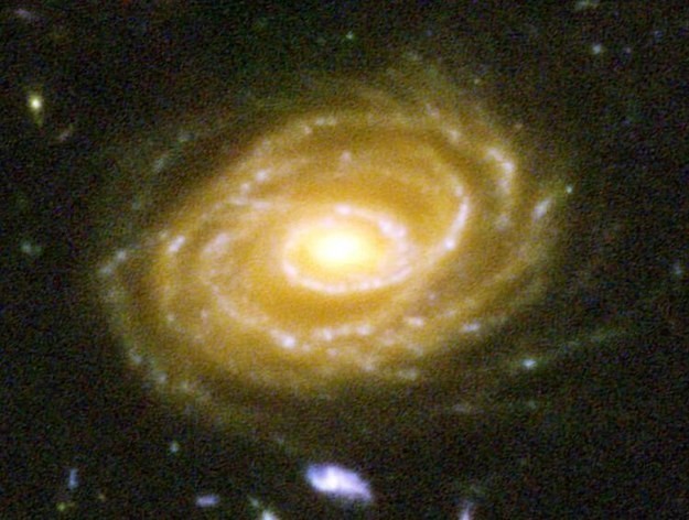 و هذه صورة المجرة UDF 423 !