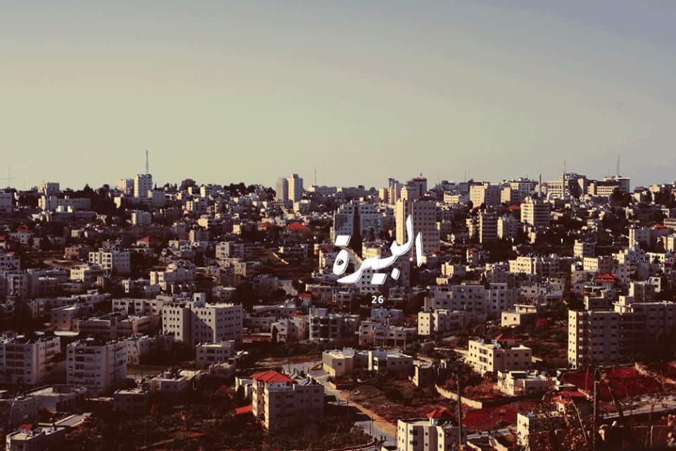 البيرة