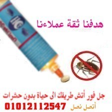 هدفنا ثقة عملأنا