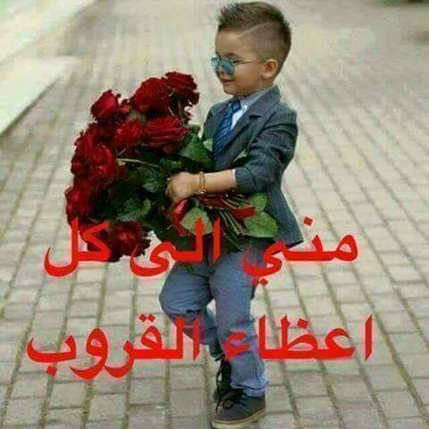 13006649_242936552760649_6692119722665664962_n