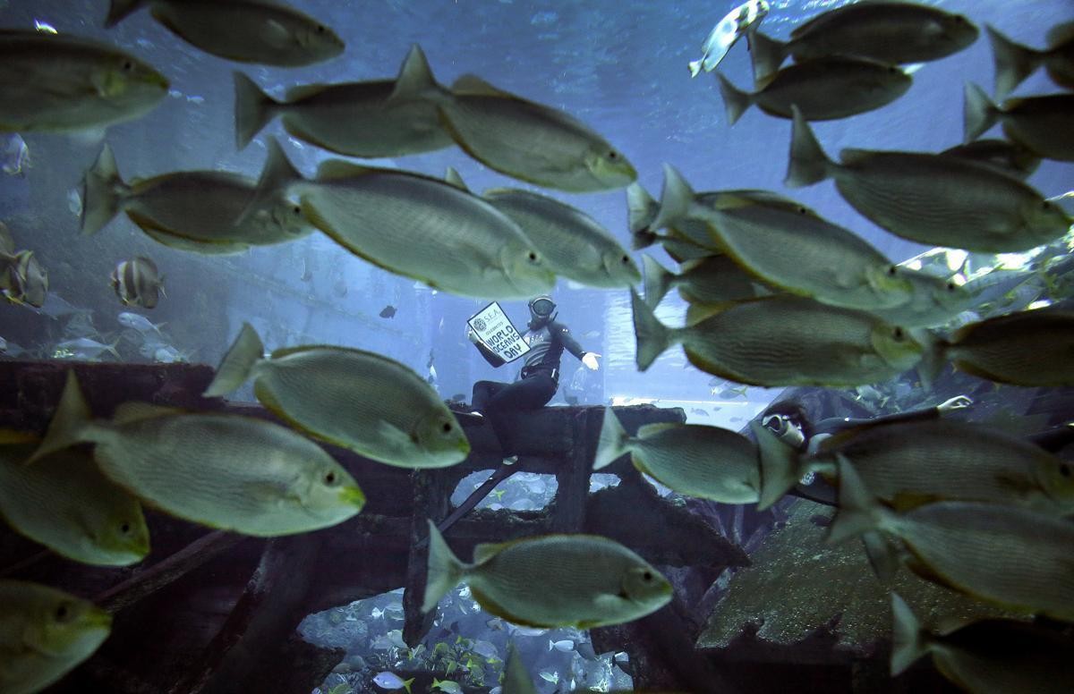 030e2ff0c51f4b4581499a8587d0a3e8-030e2ff0c51f4b4581499a8587d0a3e8-0