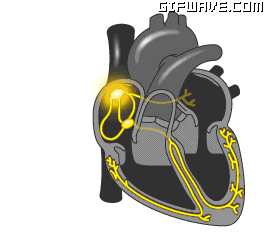 20160615-3704-1djvwts