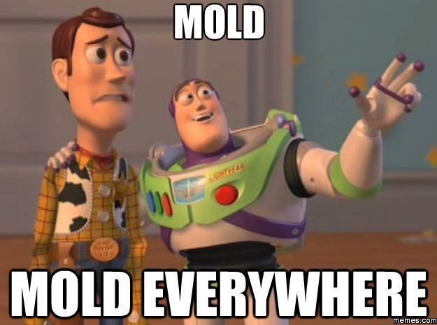 20170425-10107-1d5hdpo