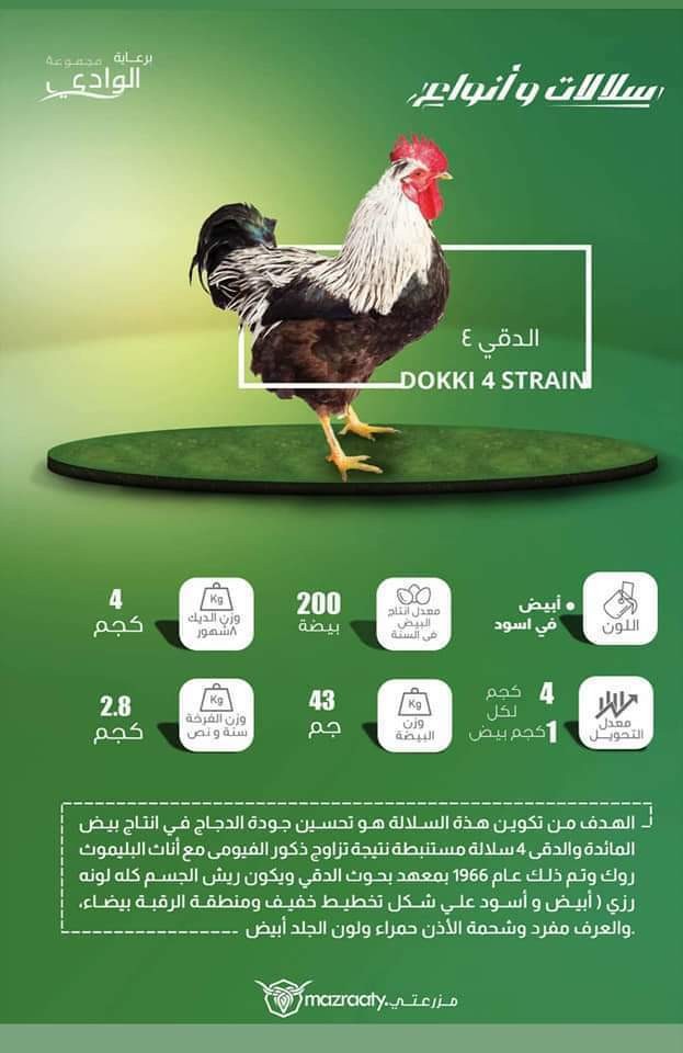 FB_IMG_1550854324061