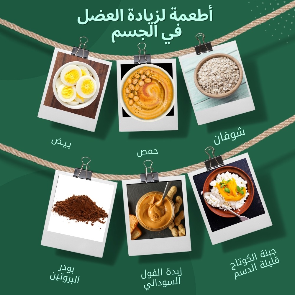 أطعمة_لزيادة_العضل_في_الجسم