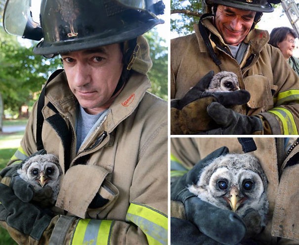 firefighters-rescuing-animals-saving-pets-12-5729aa9c8aa4b__605