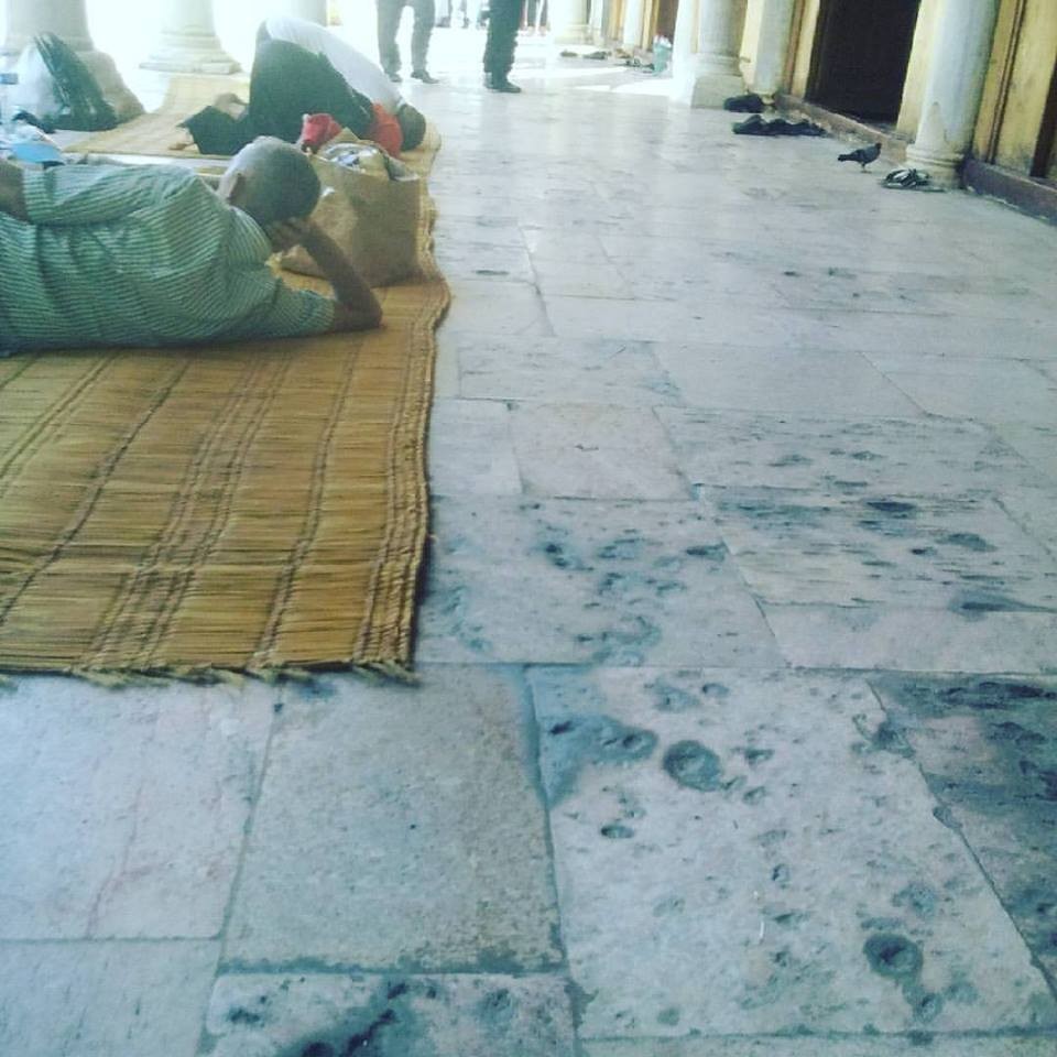 20597333_10212277873013557_9180785774685719173_n