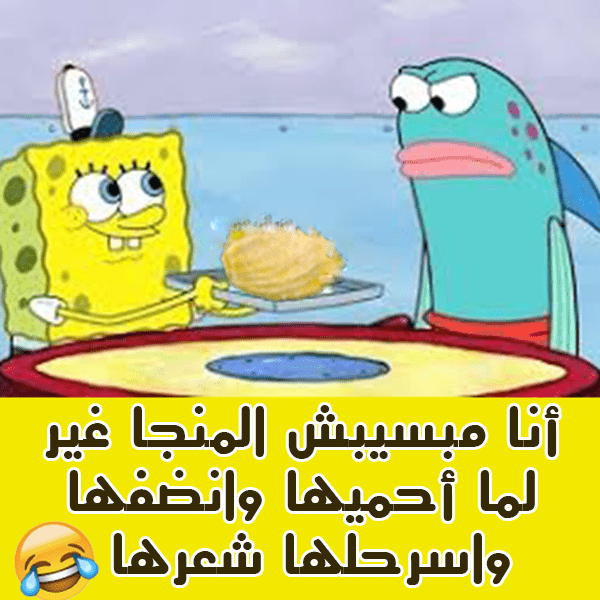images-_1_