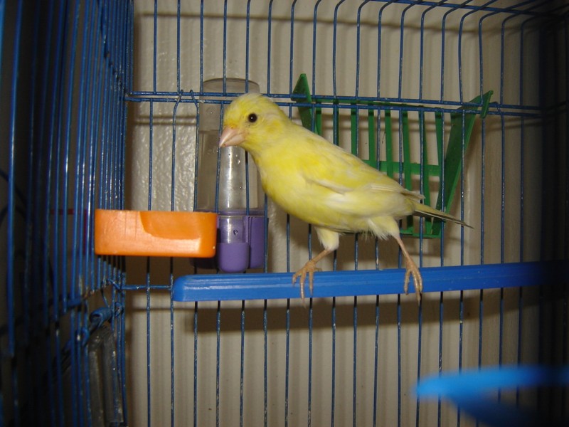 DSC00115