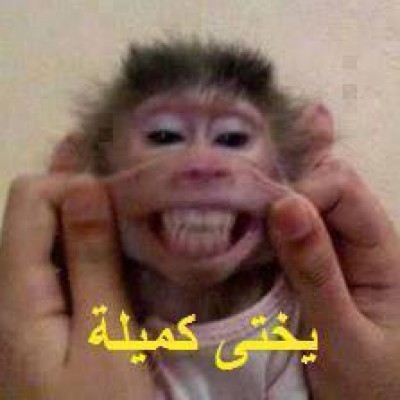 1560379_575694402557577_1074366366816181532_ncc