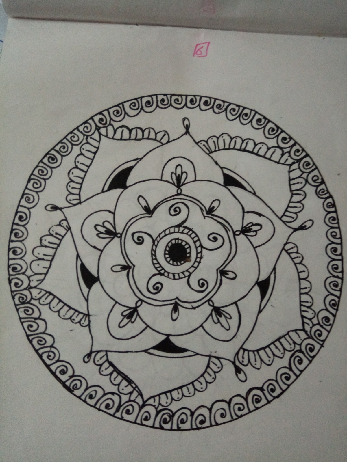 IMG_٢٠١٧٠١٢٢_١٥٤٨٤٦