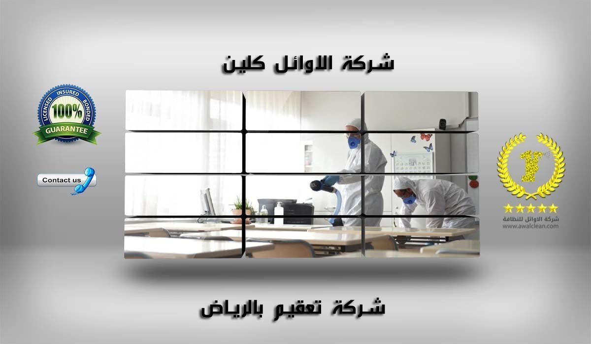 افضل شركة تعقيم بالرياض 0503195488 L