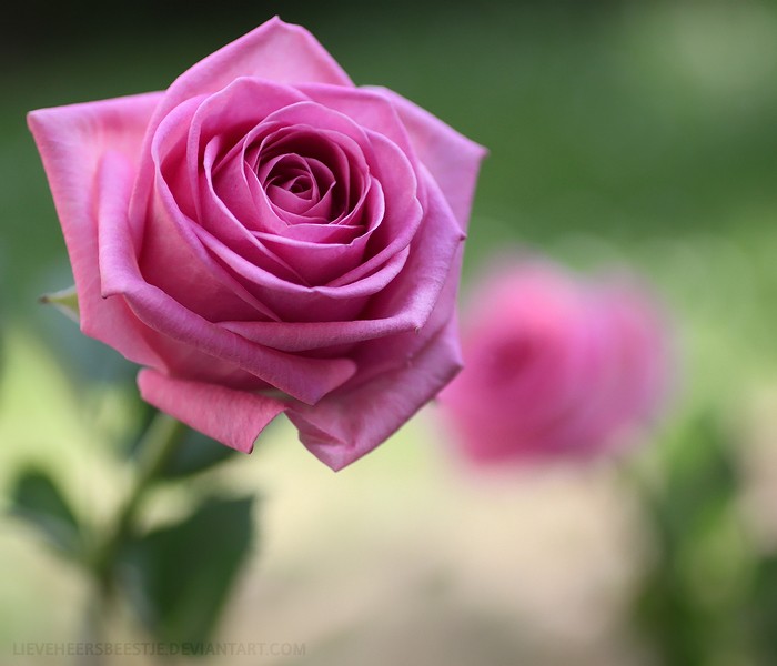 7hob_com1357390834219