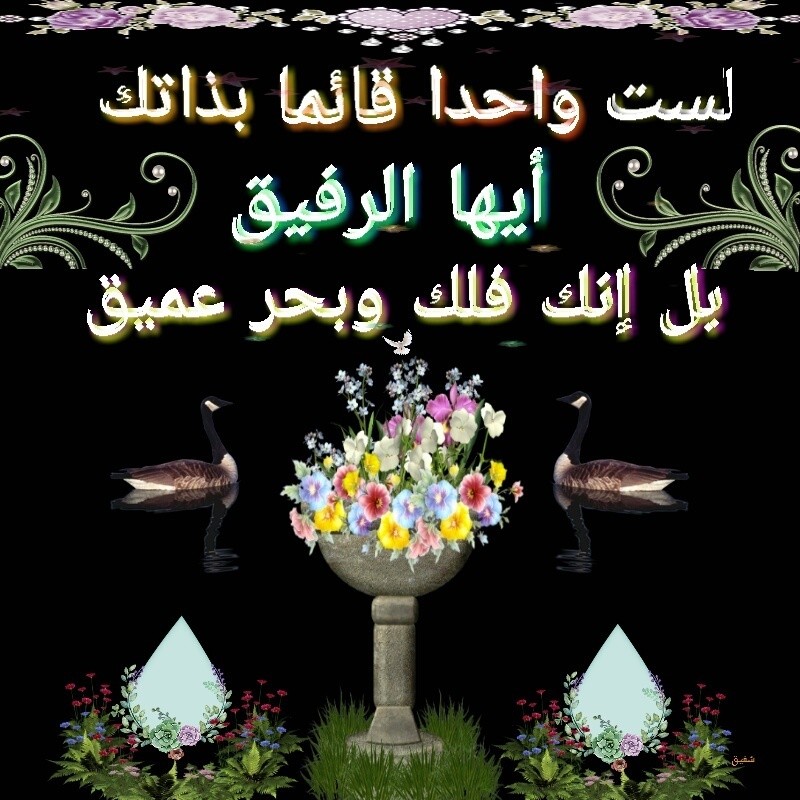 AThumbCut_١٦٠٤٠٥-٢٠٤٧٣٨