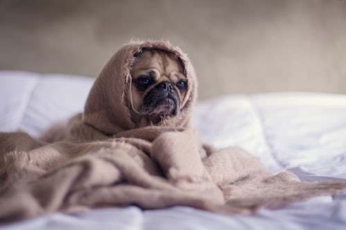 Hcdvd