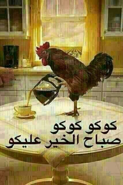 10382738_236115616582909_1314456051186247925_n