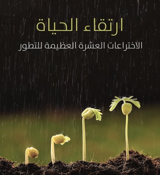 ScreenShot_20170605114038