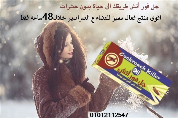 طريقك الى حياة بدون حشرات