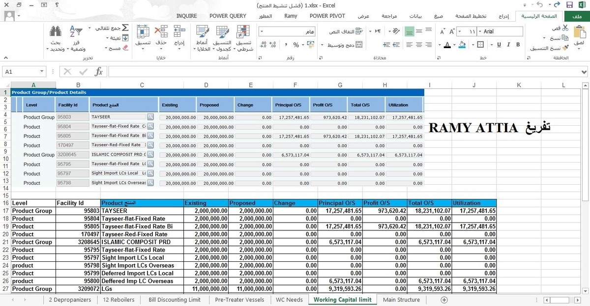 تفريغ_من_بي_دي_إف_إلى_إكسل4
