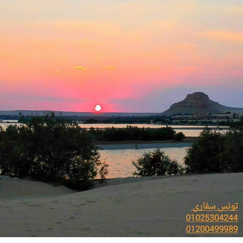 14095842_1061207637260751_898816869895803290_n