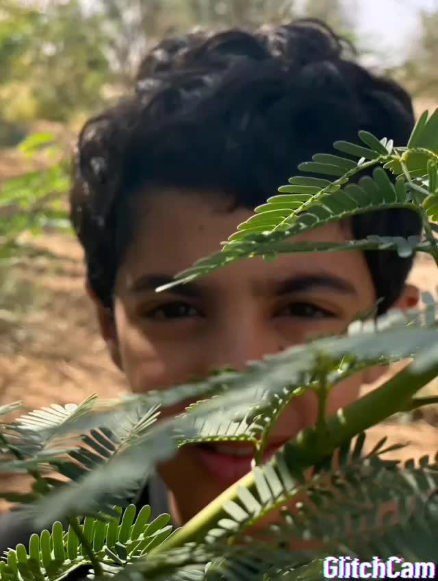 VideoGlitch_٢٠٢٠٠٦١٧_١٨١٤١٥
