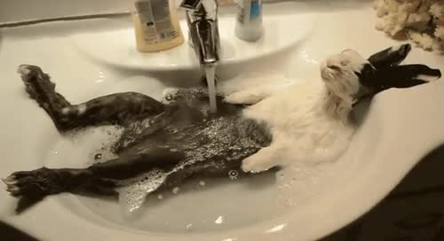 20160502-8197-1nrvr87