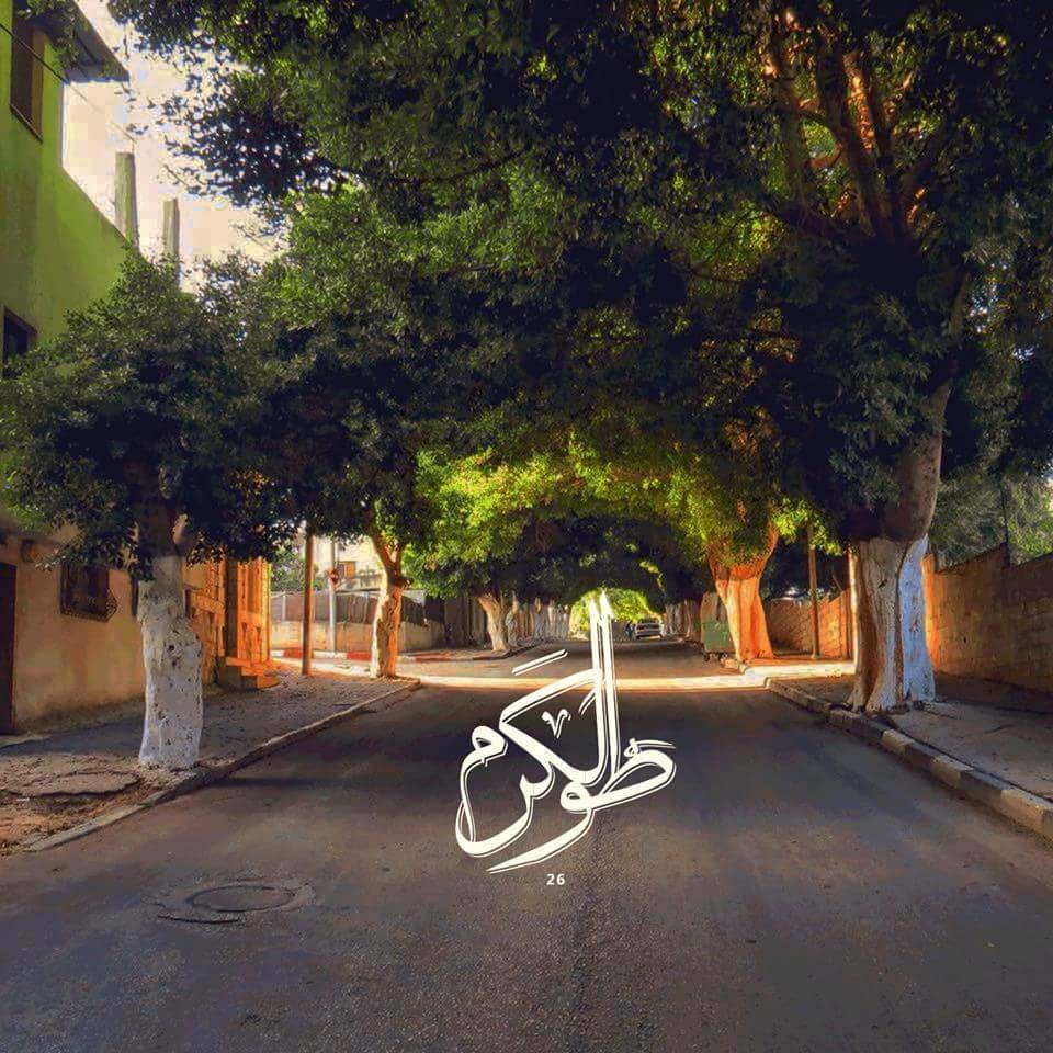 طولكرم