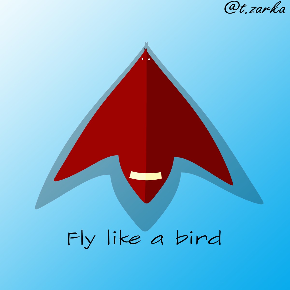 Airplane-bird