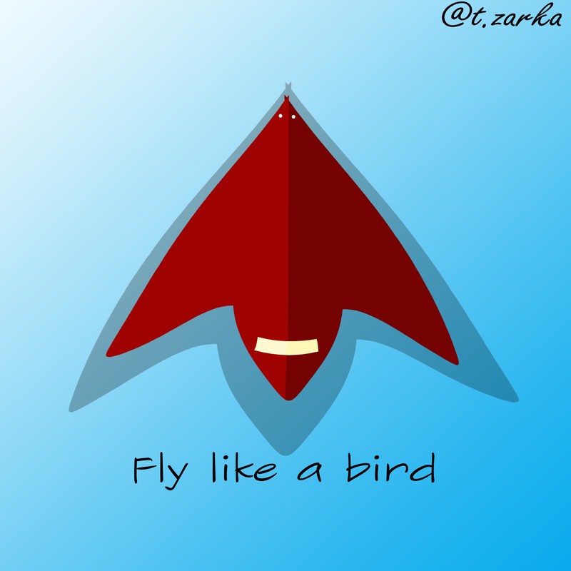 Airplane-bird
