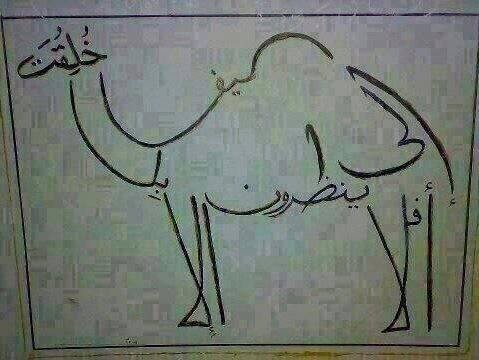 1185403_612597412118106_675015807_n