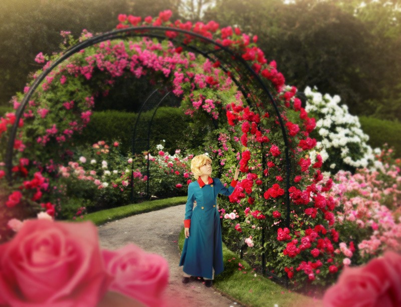 Garden_of_Roses_by_behindinfinity