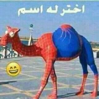 923518_1517599565207357_3966501328184303391_n