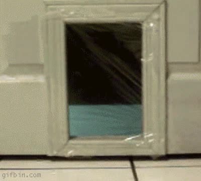 funniest-gifs-plastic-wrap-cat-door.gif