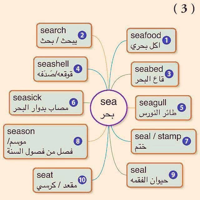 15390820_1658624791102875_7142252109819257933_n