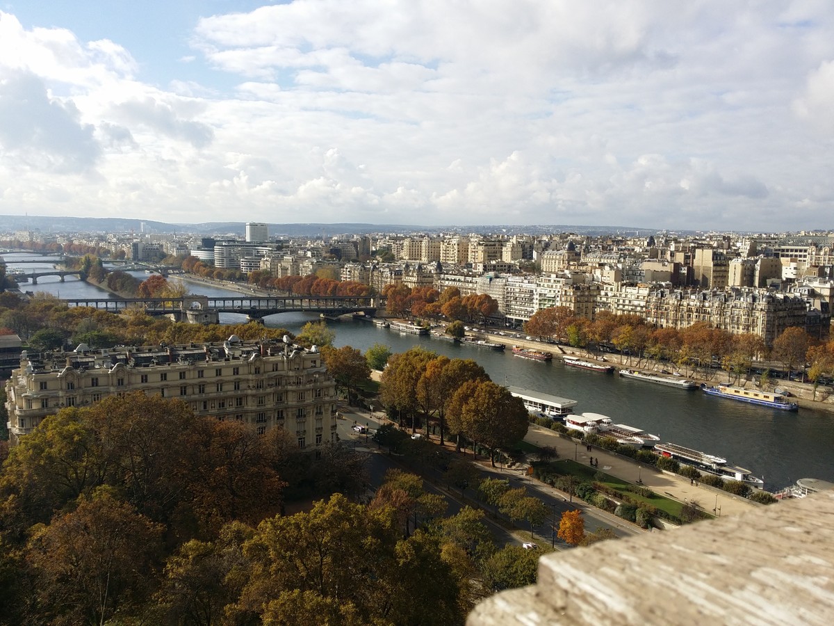 باريس وجسورها