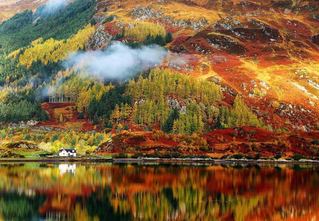 bigstock-Autumn-colours-in-Highlands-S-54245933resize105030