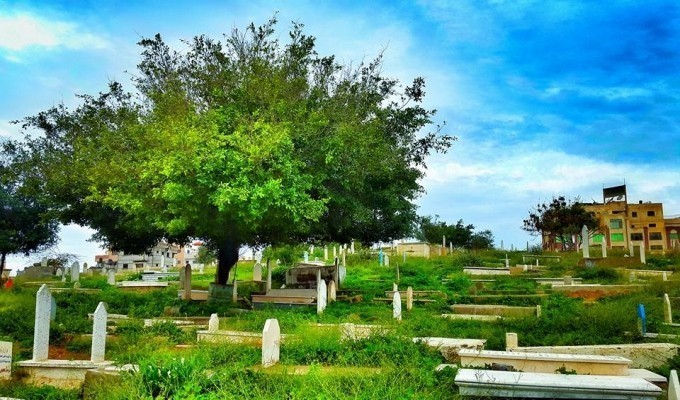 20161005-23200-1exqaga