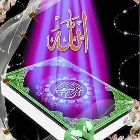 1236465_606016886221882_6982891237827690908_n