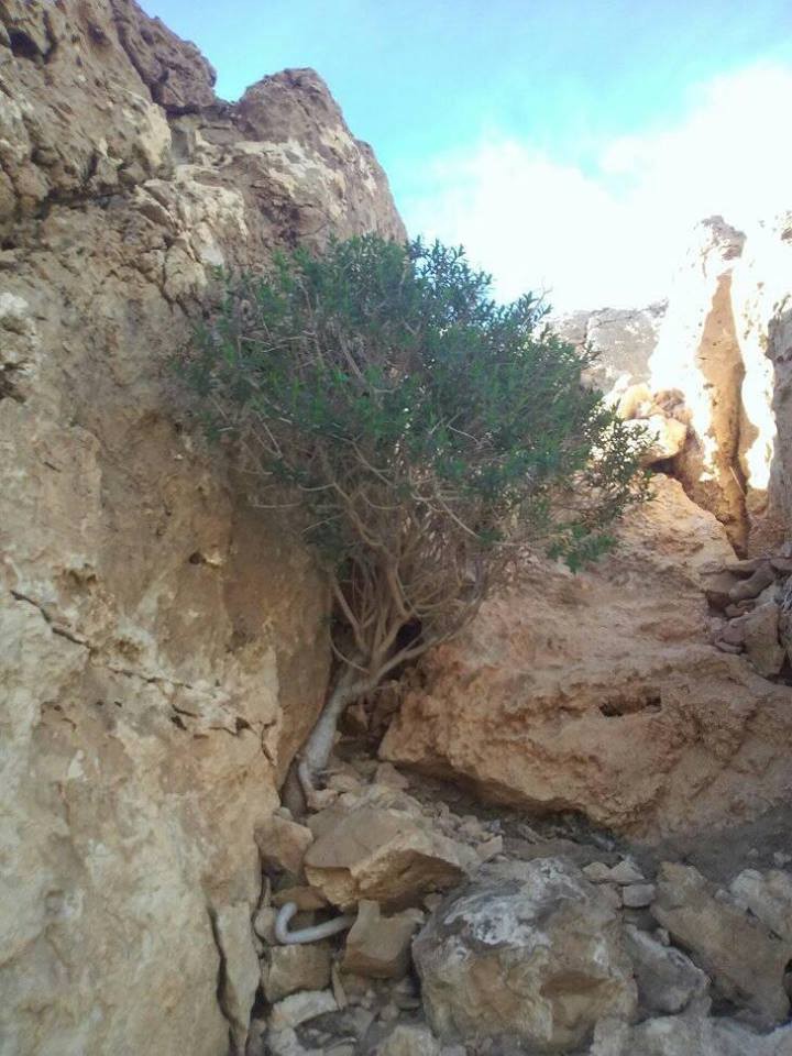 16508409_10210620871309550_4683426491873481026_n