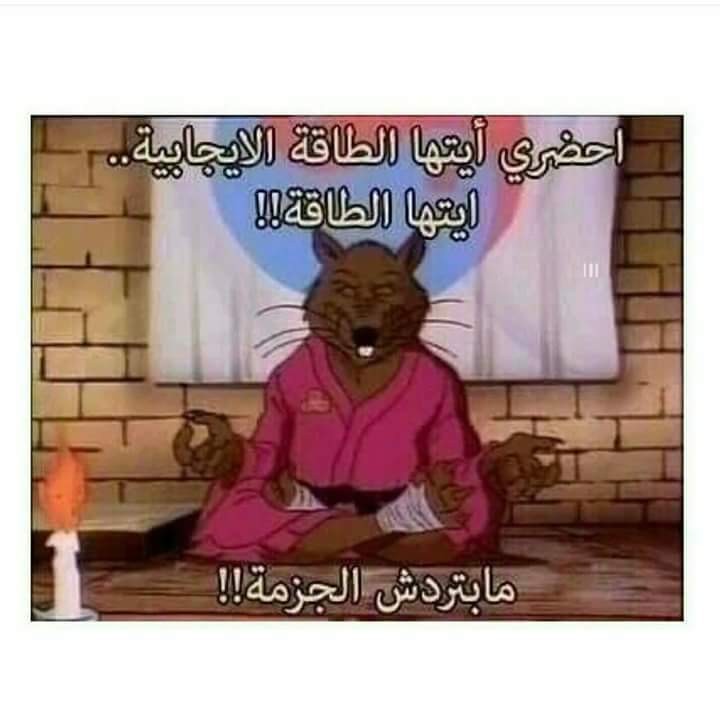 FB_IMG_1519151133527
