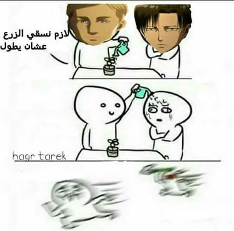 21370963_585760568261088_7099089824919655707_n