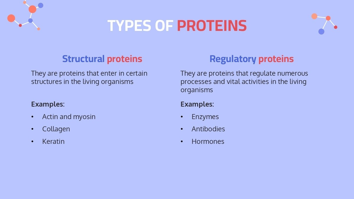 Protein synthesis صور