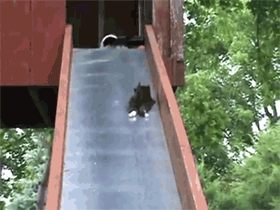 20160618-3627-parw4w