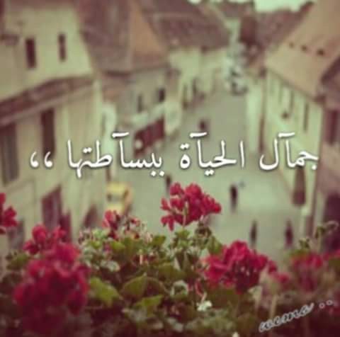 FB_IMG_1531544058037