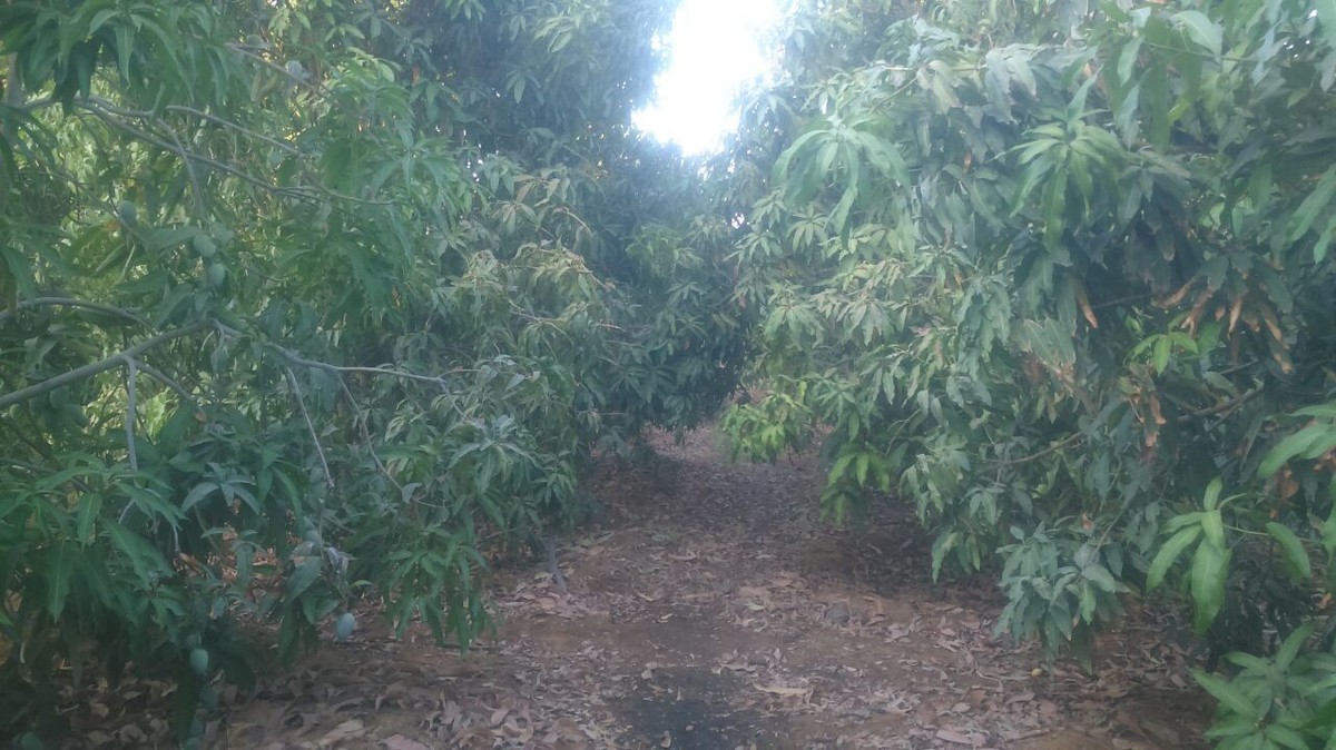 f49ca82f-14b4-463b-b6d1-0ad9141aab66__1_