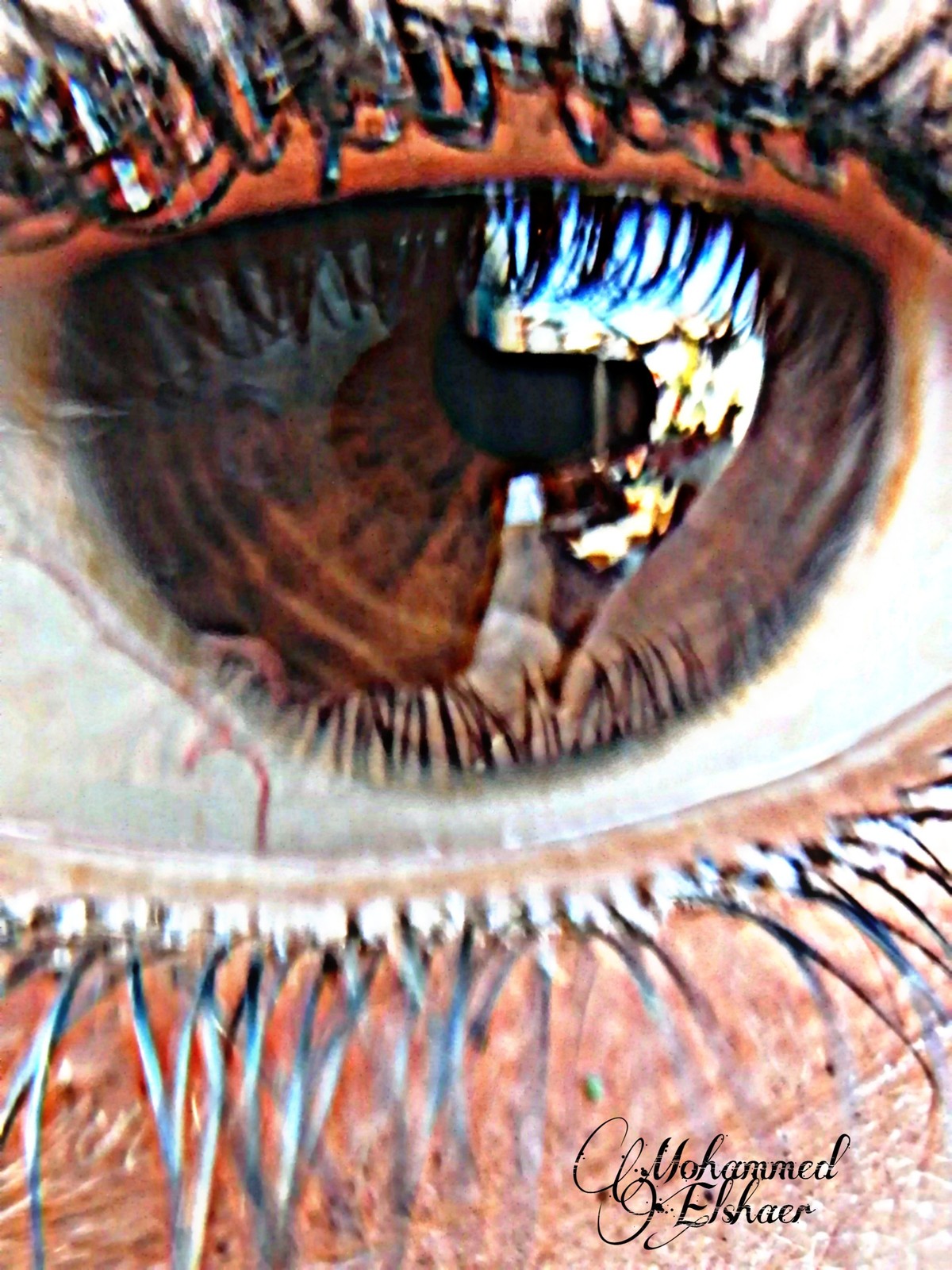 PicsArt_08-31-02.21.44