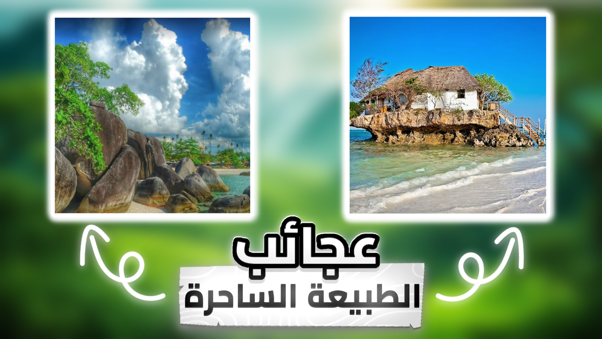 Untitled86_20240820190531