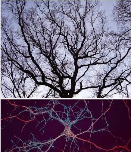 incredibly_beautiful_images_08