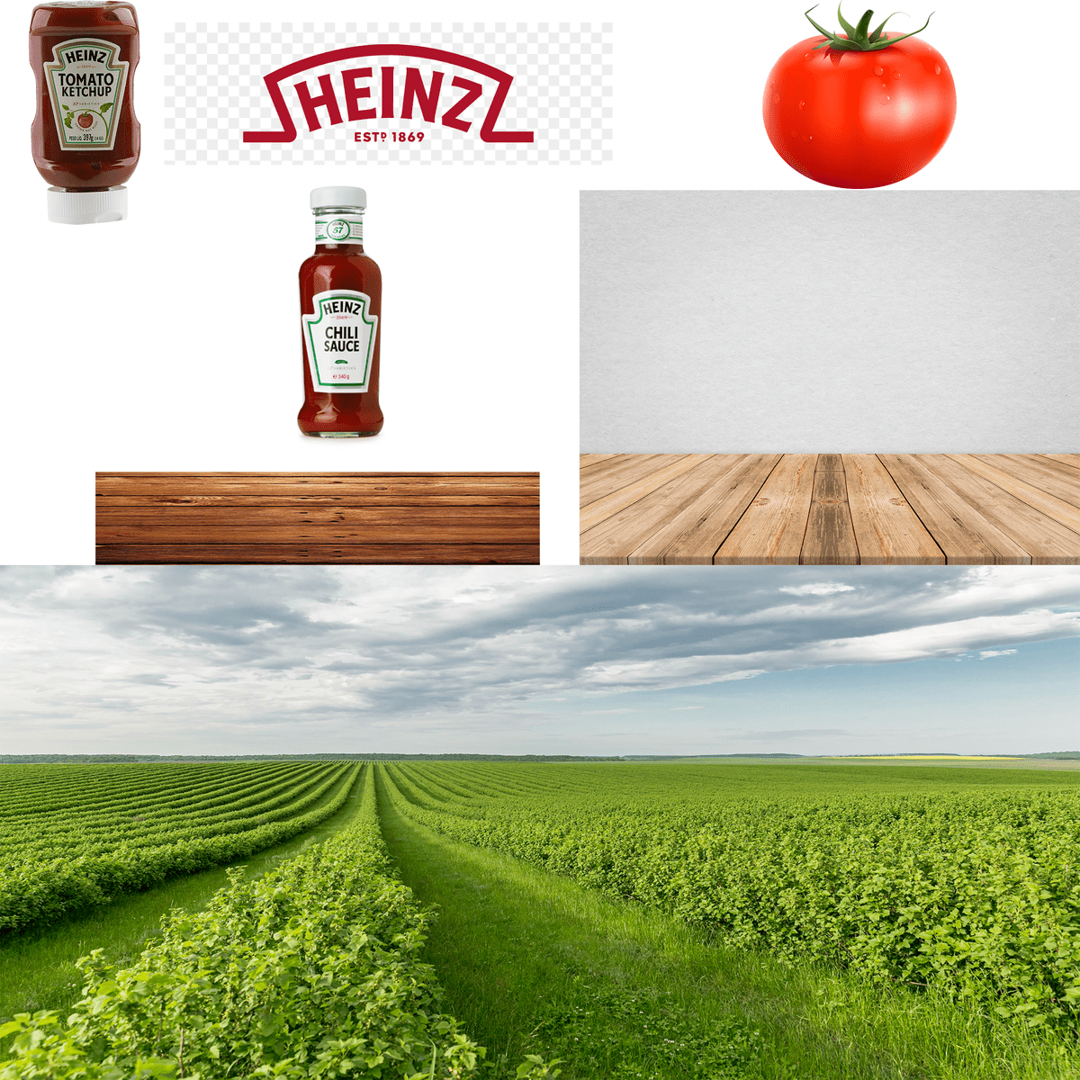 الصور المستخدمة 