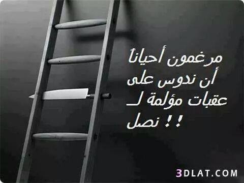 22006_1598999226984922_1731645197122252441_n